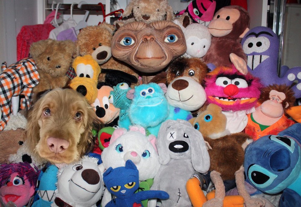 stuffed toys for bedroom